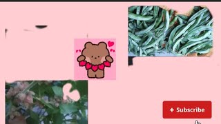 घर की सब्जी और घरेलू दवाई 😊#pahadi#pahadi food #devbhumi #devbhoomiuttarakhand