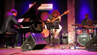 Kobi Arad Band Live at City Winery part 7