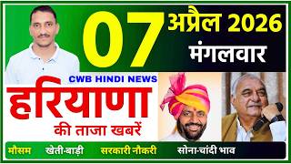 07 April 2026 Haryana News || हरियाणा की ताजा खबरें || Haryana Live News || CWB Hindi News