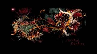 Argonautica - Orphica album by Mikhail Karikis
