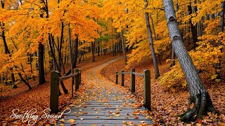 Beautiful Relaxing Music 🍁 Stop Overthinking, Stress Relief Music With Autumn Melodie