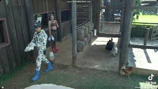 Sadu kissing a lot December 2025 #afazenda17