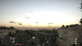 Damiane no shield bug