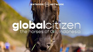 The Harsh Reality of the Hardworking Horses of Gili
