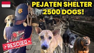 Inside Jakarta’s Biggest Animal Sanctuary 
