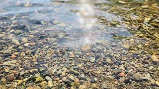 Deep Rest Breathing with Gentle River Sounds #relaxation #rest #nsdr