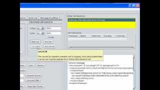 Avaya ACE WS Trainer video guide - Part4a