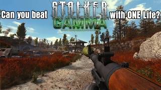 Can You Beat STALKER GAMMA with ONE Life?