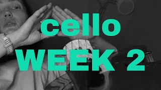 How Shall We Play?¡ Week 2 THE POSTURE from 12 Week Cello Roadmap