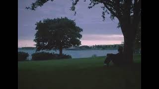 pov: begging someone to stay [playlist.]