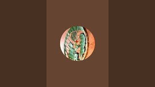 Mohd Rehan Ansari is live