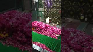Qawali gulab shah dargah jhotwara Jaipur