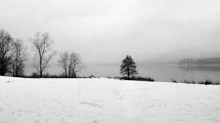 Stalingrad Cowboy - Frozen Lakes (My Dear Killer cover)