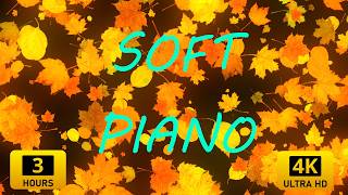 Peaceful Fall Vibes 🍁 4K Dynamic Wallpaper 🎵 Piano & Violin Harmony