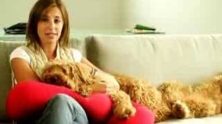 The Pet Loo - Live in an Apartment?