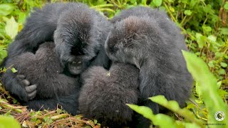 Akariza and Ishyaka cuddle their infants in the rain