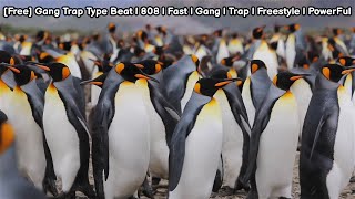 [Free] Gang Trap Type Beat | 808 | Fast | Gang | Trap | Freestyle | PowerFul