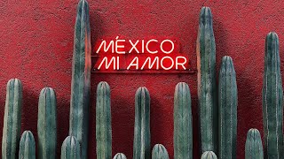 🇲🇽 Viva La Mexico | 🎧 Lofi Beat DJ Mix | 🌿 Chill Beats for Relaxing, Studying, Coding