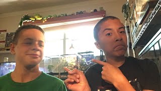 I’m live