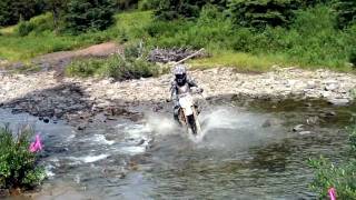 Waiparous Alberta Moose Mountain Harescamble