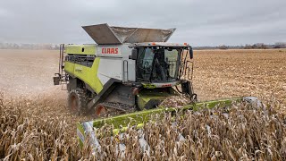 AgroSpol Michalovce | kukurica na zrno | CLAAS Lexion 8700TT | 4K | East Slovakia Agriculture (ESA)