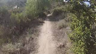 rattlesnakecanyon