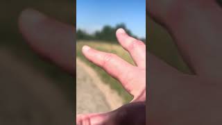 Hike In Colorado With Me