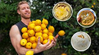 What To Do With THIS Many Lemons…