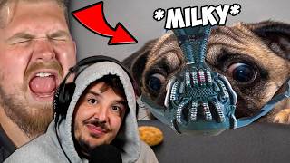 MULLY Doesn't Think My Memes Are FUNNY!!!