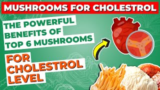 The Powerful Benefits of Top 6 Mushrooms for Cholesterol Level