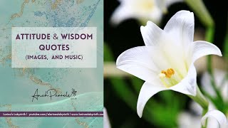 Quotes on ATTITUDE and WISDOM to Inspire and Motivate you!