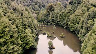 Birds eye - Mavic Air