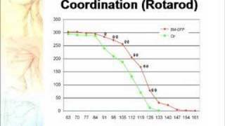 Stem cell therapy for ALS