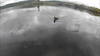 Lagremouth Bass from the Jackson Kayak Coosa (May 2014)
