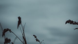 feeling alone whatsapp status 💔 alone boy and girl status 💔 depression whatsapp status 💔 sad status