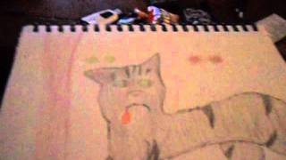 My Picture for catcrazy53