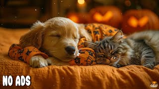 12 HOURS Calming Music for Dogs💖🐶 Anti-Separation Anxiety Relief Music🌈💖Healing Dog Music