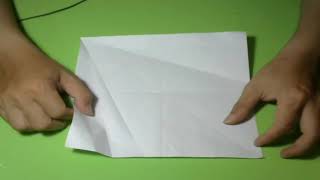 2h   Nghệ thuật gấp giấy đỉnh cao   Gấp CHIM CÁNH CỤT và con SƯ TỬ