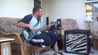 Katy Perry Peacock Bass Cover