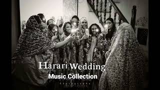 harari wedding music collection | Ethiopian Harari Wedding music Ramzi & abulu  2025