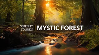 Mystical Forest with Relaxing Music | Peaceful Background for Focus, Meditation & Relaxation