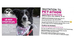 Pet athon Odense musik