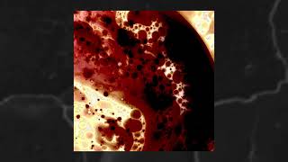 TOTAL ABDOMINAL- OTRALBONA (FOLL ALBON)
