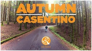 AUTUMN in CASENTINO