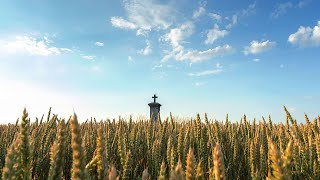 Live Mass - The Feast of Saints Michael, Gabriel, and Raphael, Archangels
