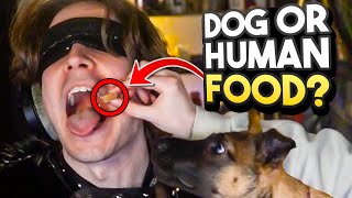 I Tried Guessing Dog Food vs Human Food