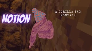 Notion | A gorilla tag montage
