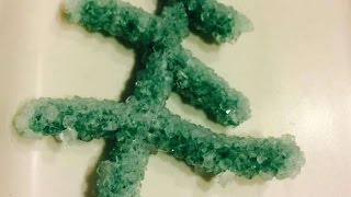 How To Use Science To Make An Ornament - DIY Crafts Tutorial - Guidecentral