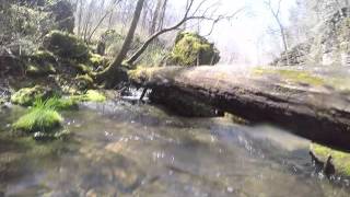 Greer Spring, Video 1 - Under Water