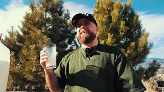 Milk Review: Great Value Whole Vitamin D Milk, Gallon, Plastic, Jug